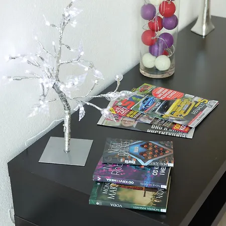 アパートホテル Ivan's パラチン